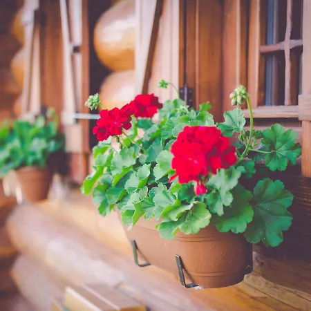 Casa vacanze Koliba Pacho - Zrub Anicka